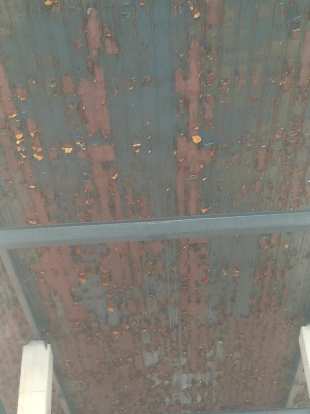 化工廠彩鋼板墻面腐蝕嚴(yán)重 化工廠彩鋼板墻面腐蝕嚴(yán)重